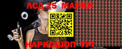 шишки Тверь