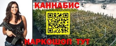 шишки Тверь
