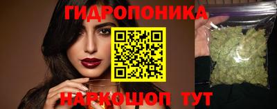 шишки Тверь