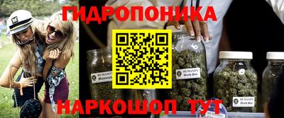 PSILOCYBIN Тара