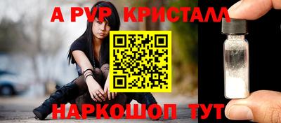 шишки Тверь