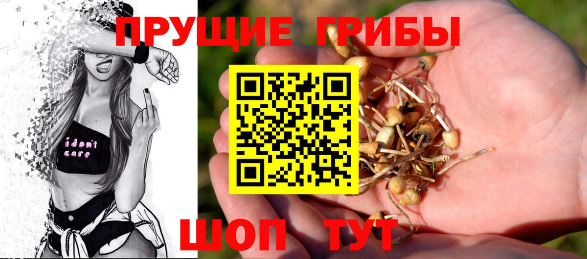 Галлюциногенные грибы GOLDEN TEACHER Ногинск