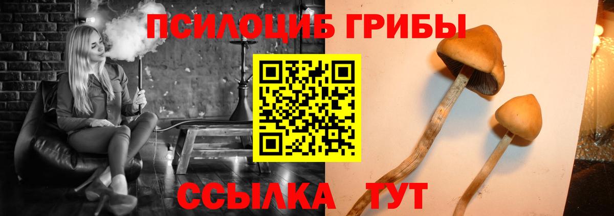 купить закладку  Вход с VPN  Ногинск  Галлюциногенные грибы MAGIC MUSHROOMS  Галлюциногенные грибы прущие грибы 